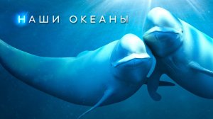 Наши океаны (2024) — 1 сезон 3 серия  | Атлантический Океан | Our Oceans (Дубляж)