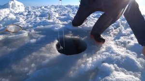 Сахалин. Крабалка. В процессе