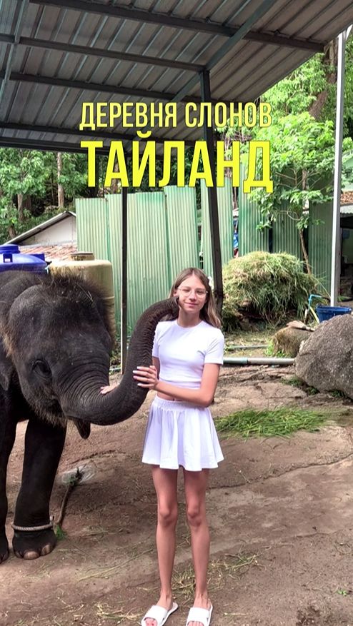 Где покормить слона в Таиланде? 🐘 Деревня слонов 🏯 Путешествие в Таиланд #outhome