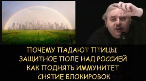 Николай Левашов. Защитное поле над Россией. Почему падают птицы. Как поднять иммунитет