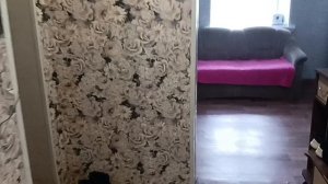 Про переезд. Рум- тур. Покупки/ Пустые баночки 🤗