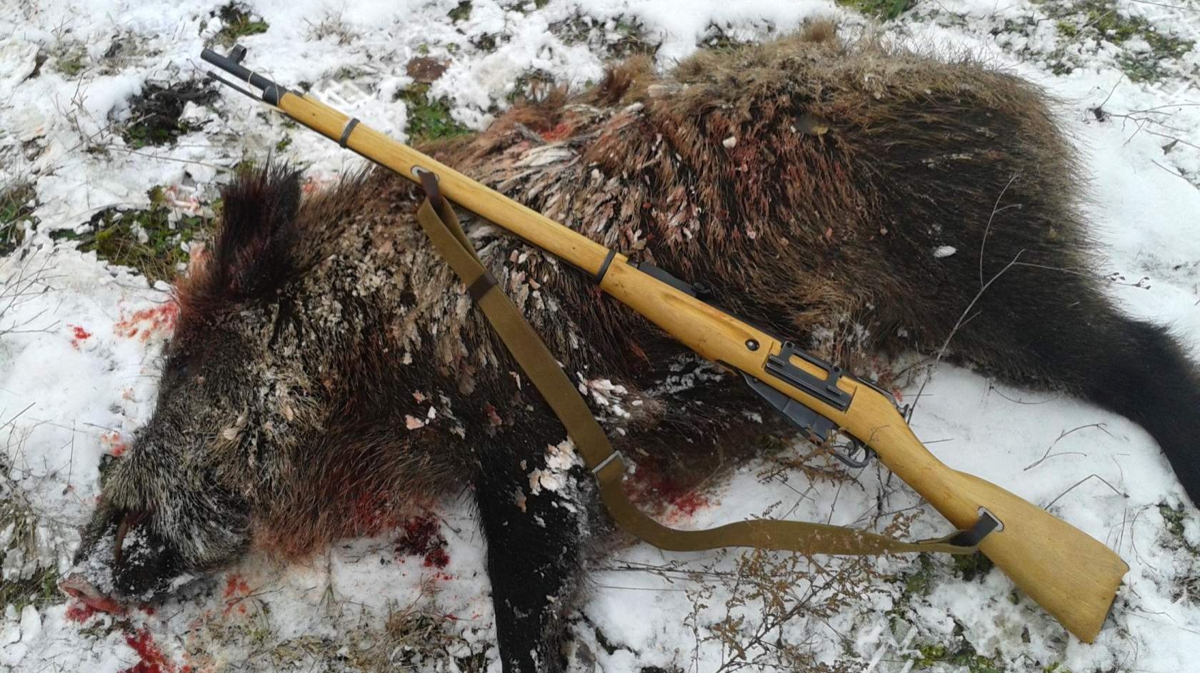 Охота с тепловизором смотреть онлайн