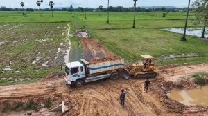 Строим дорогу на болоте. Насыпаем грунт и развавниваем бульдозером