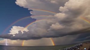 Часть 526. [Парадокс особых знаний и наук] - Бакаев. А.Г.