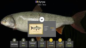 БЕЗУМНЫЙ ФАРМ 10 000 СЕРЫ НА МОРЕ, РАЗДАЧИ УСАЧА И КУТУМА НА АХТУБЕ ОБЗОР ВОДОЕМОВ РУССКАЯ РЫБАЛКА 4