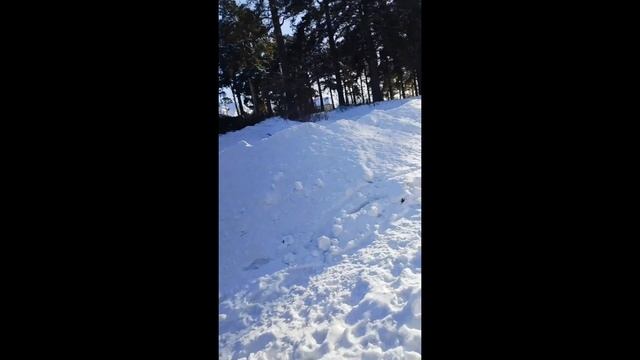 тоже атмосферный теггинг ток уже с одним другом