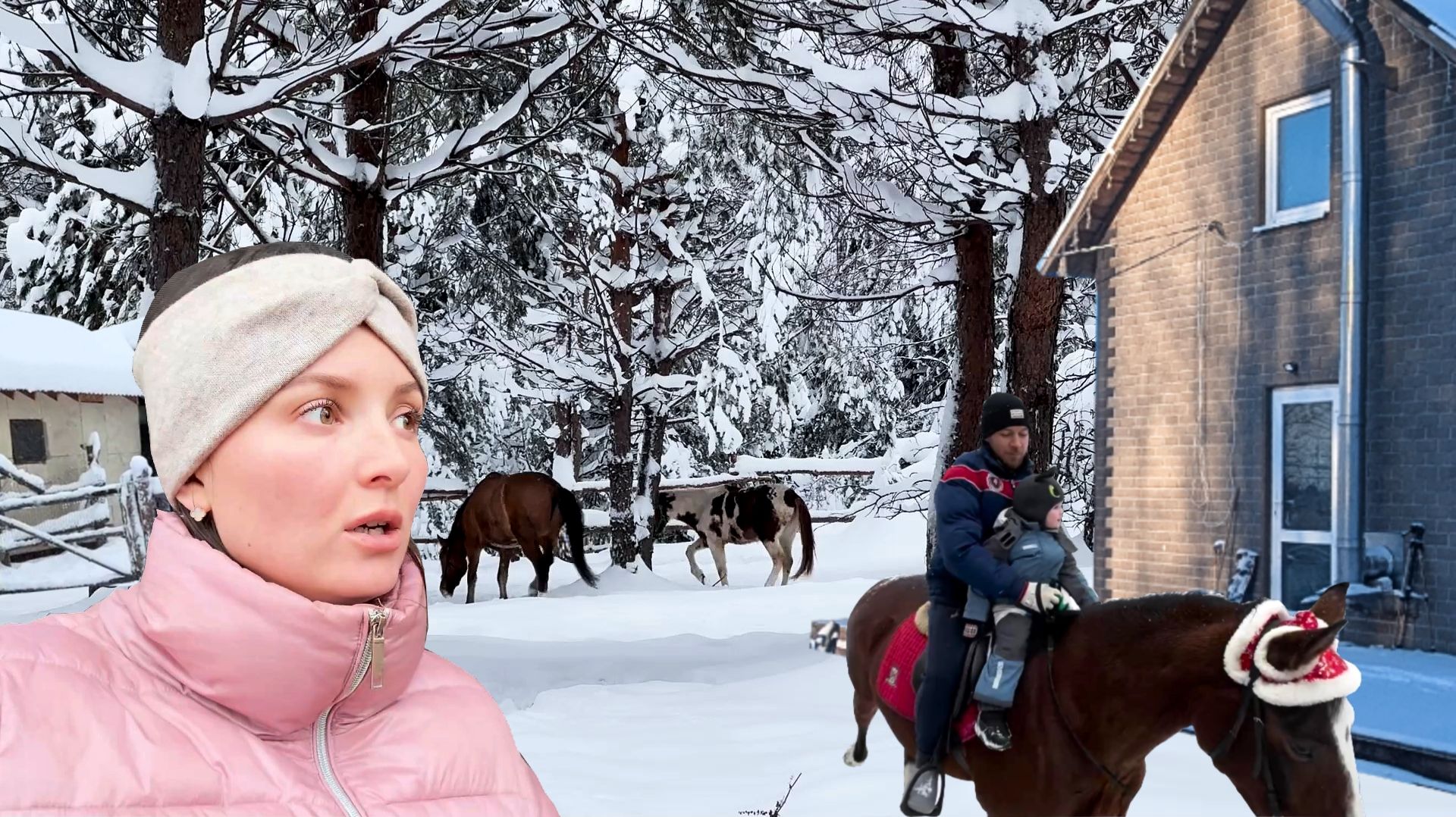 БРОСИЛИ ВСЁ И УЕХАЛИ. Не жалеем ли? Снег ломает крышу. Обшили окна. Собрали новый шкаф