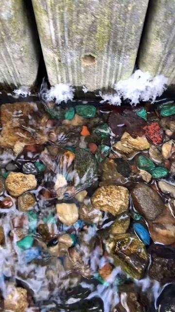 Родник в зимнем лесу Родник в зимнем лесу