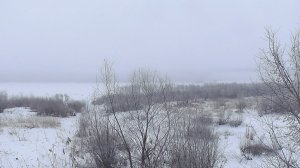 Омск.Туман.1 февраля.