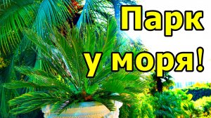 ТОТ САМЫЙ ПАРК С САМОЛЁТАМИ В НОЯБРЕ 2025! ПАЛЬМЫ, БАМБУК, ПАРКОВЫЕ КОТИКИ, ФОТОВЫСТАВКА ... АДЛЕР.