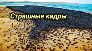 01-02-2026. ЧП. КАТАКЛИЗМЫ. КАТАСТРОФЫ, ПРОИСШЕСТВИЯ ЗА ДЕНЬ. новости дня. СЕГОДНЯ