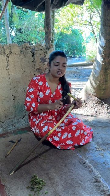 Корица. Искусство заготовки