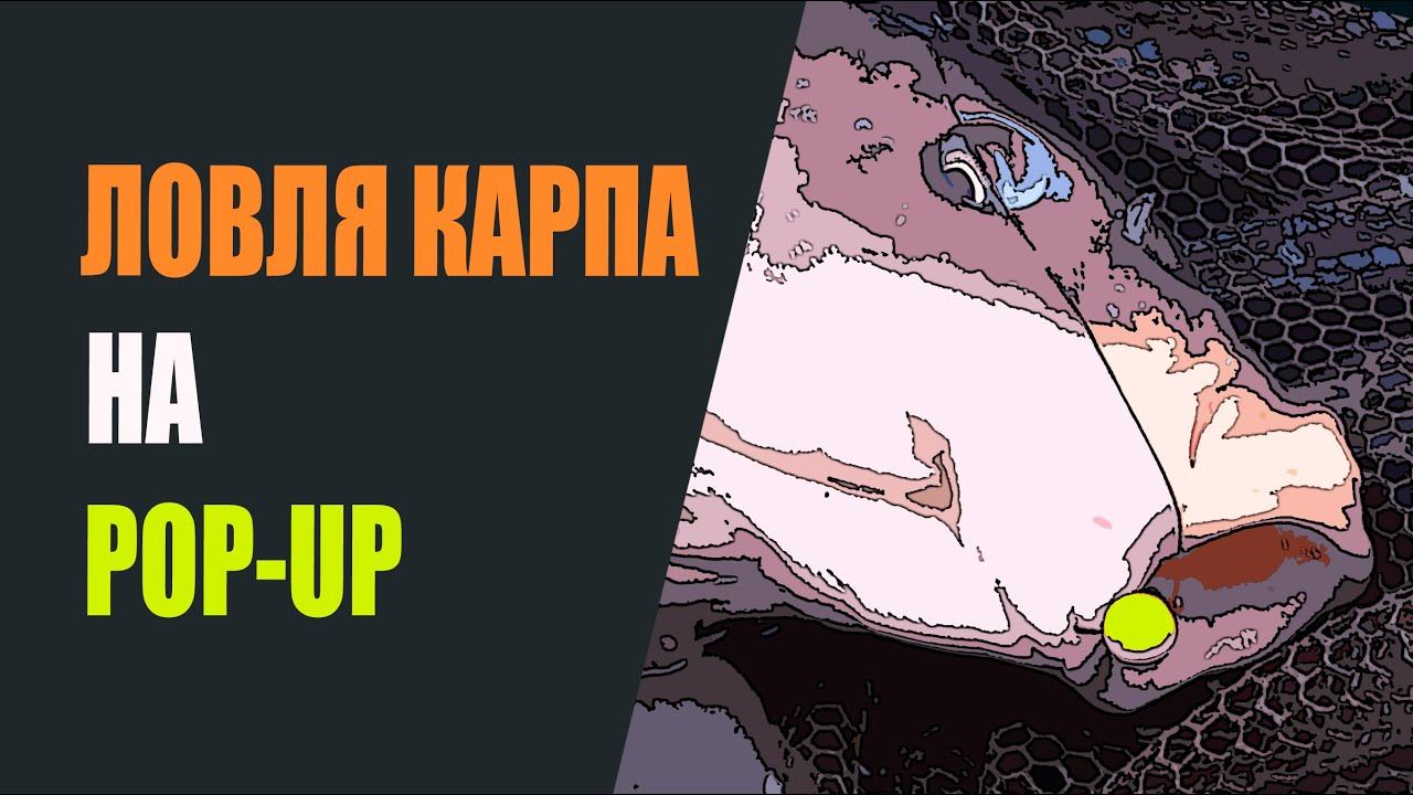 Ловля карпа на pop-up смотреть онлайн