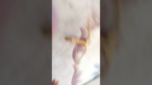 Краш -тест лего машины 2