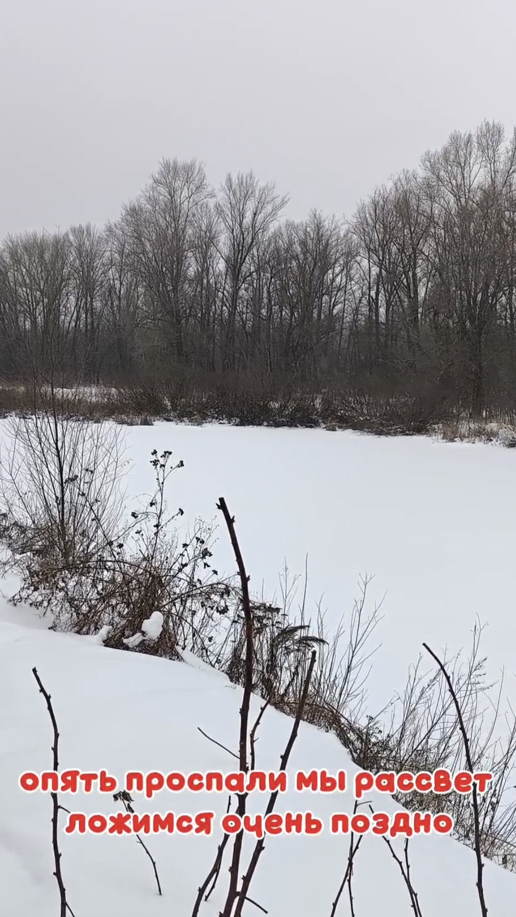 Опять проспали мы рассвет смотреть онлайн