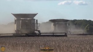 Часы тикают! 4 Комбайна и огромная площадь! Будет ли она готова сегодня?3 ИДЕАЛЬНАЯ пшеница T10