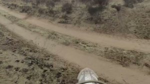 12 декабря 2025 г.