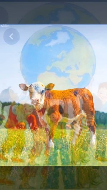 На Земле мы все свои смотреть онлайн