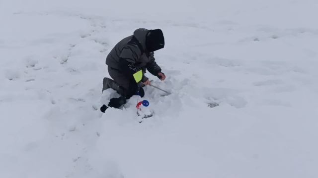 5729.mp4 смотреть онлайн