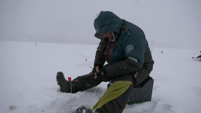 Трейлер Кубок Воронежской области по мормышке 31 января 2026
