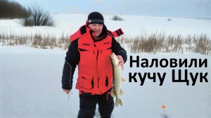 Зимняя рыбалка 2026 - наловили толстых щук на жерлицы на секретном пруду! Рыбак - Михалыч.