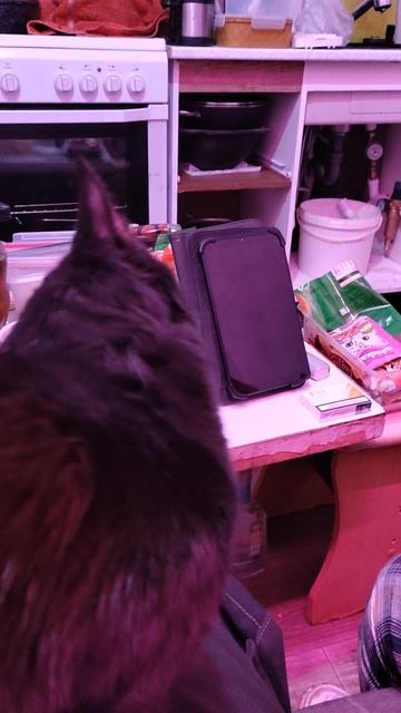 1000135936.mp4 смотреть онлайн