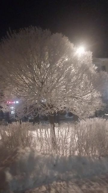 Какая же это красота! смотреть онлайн