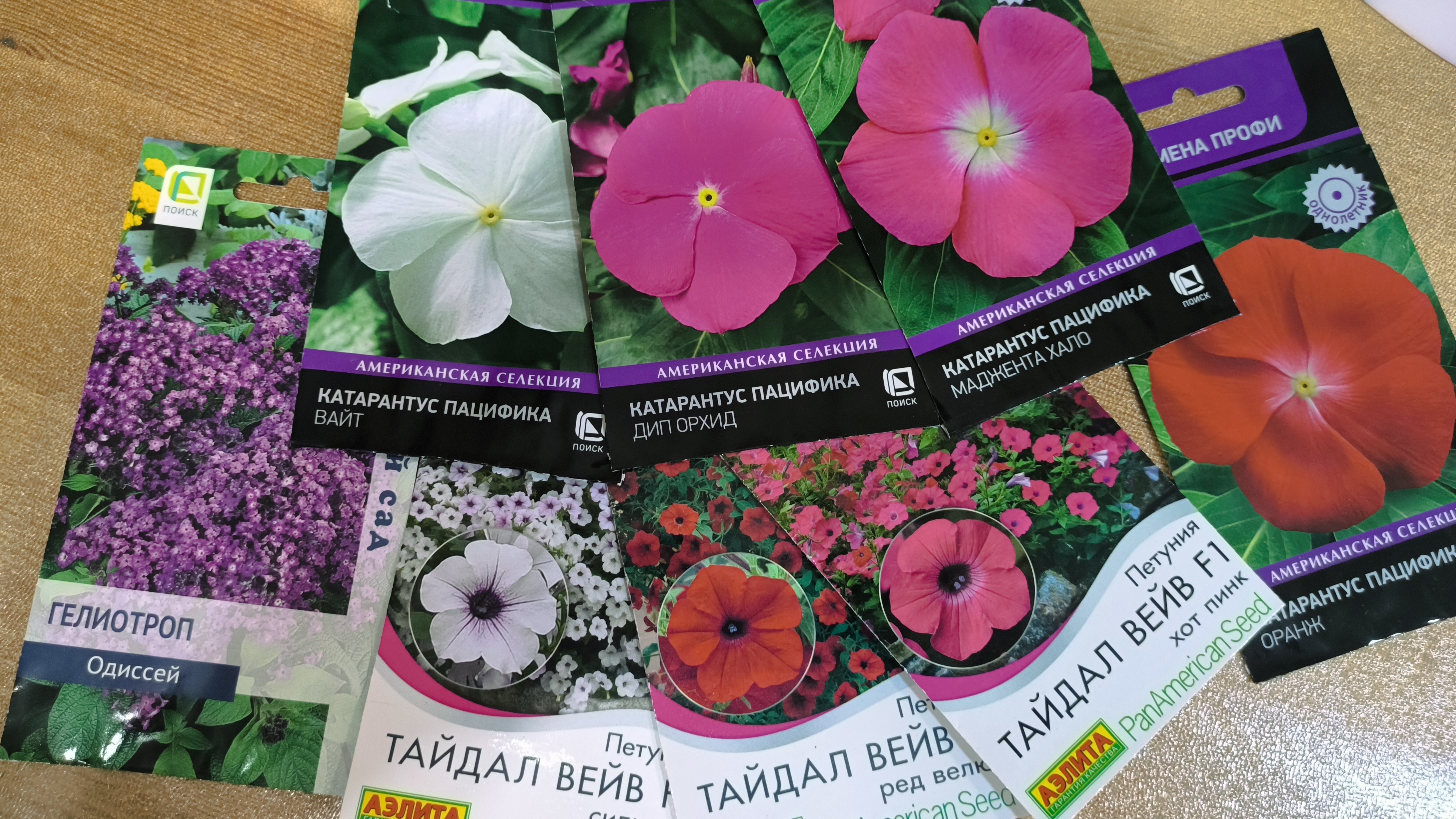 Сеем петунии, готовим оливье. Просто о жизни. 01.02.2026