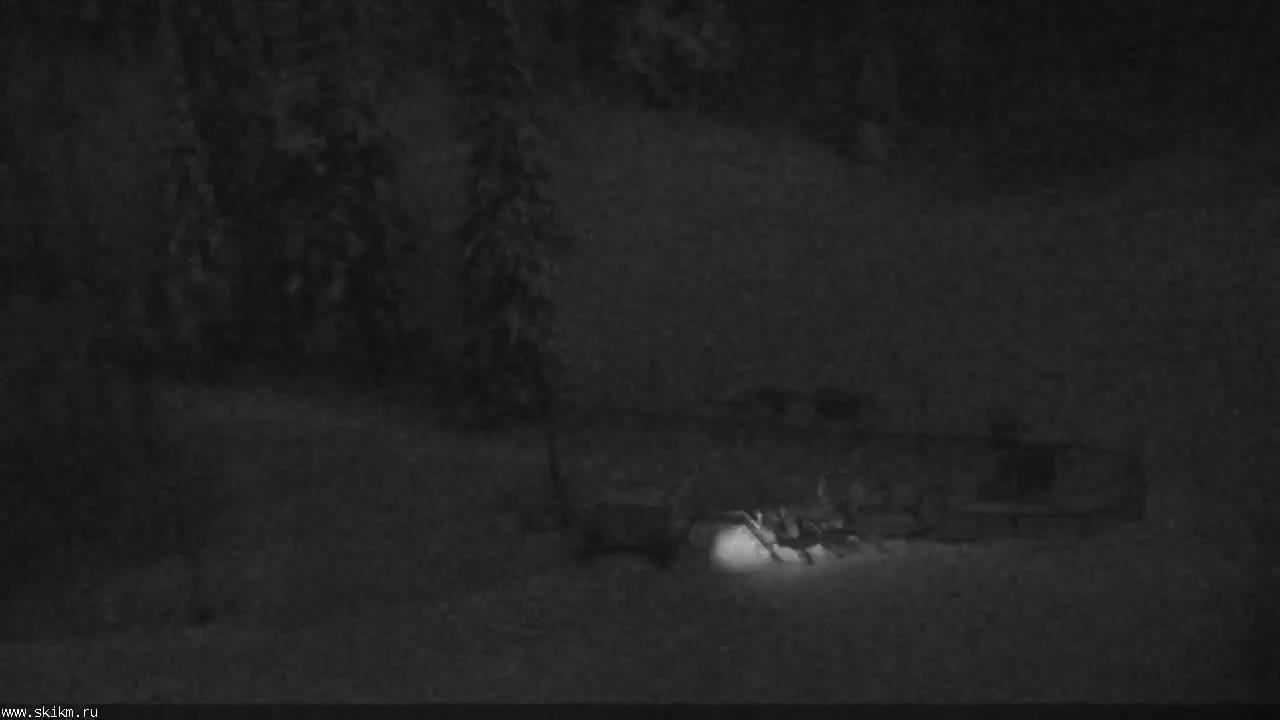 LIVE: channel39463803 смотреть онлайн