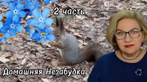 2 часть. Дешёвая ДОСКИНСКАЯ ЛИМОНКА🍋❗️