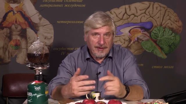 Основной источник энергии в организме смотреть онлайн