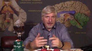 Основной источник энергии в организме