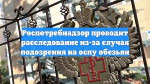 Роспотребнадзор проводит расследование из-за случая подозрения на оспу обезьян