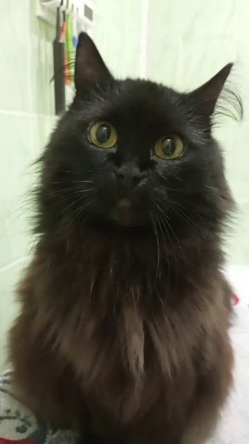 Наша Рамочка ждет подписки