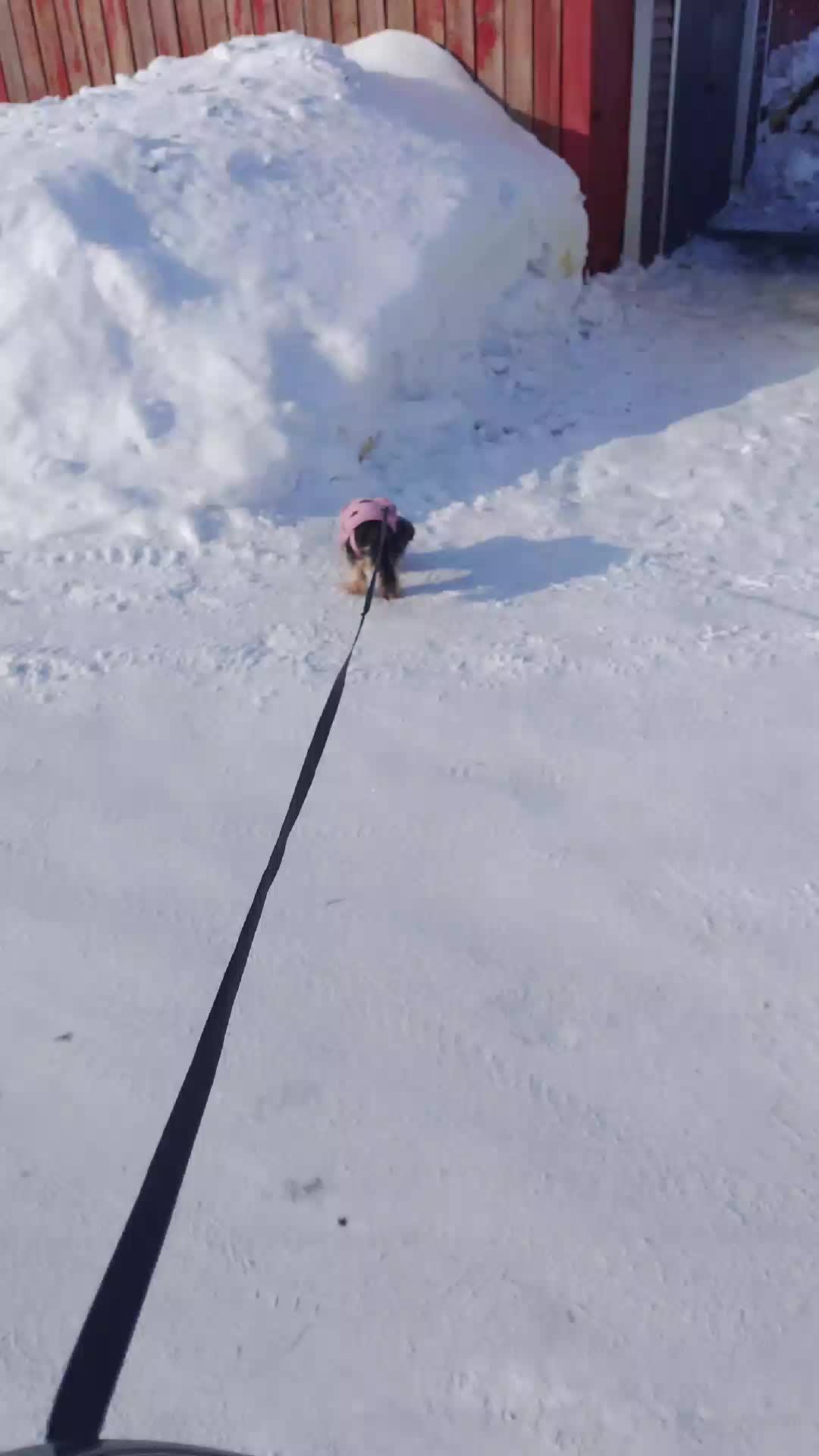 c смотреть онлайн