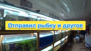 Отправил рыбку и другое