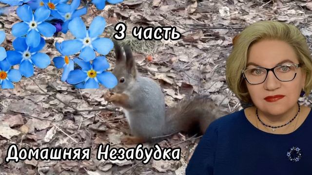 3 часть. Вдруг ещё на одну поездку соберут❓️ смотреть онлайн