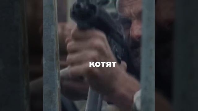 Кошка бросила котят это Ниган виноват