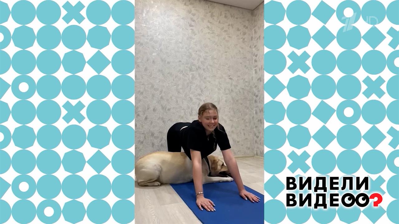 Шаловливая Молли. Видели видео? Фрагмент выпуска от 01.02.2026