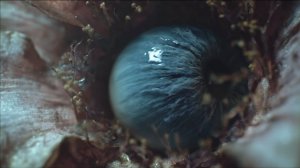 Загадочный мир KEPLER-X: Путешествие в неизведанное