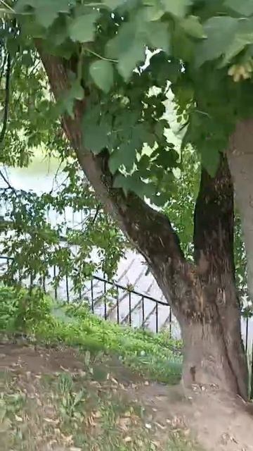 ЧУДЕСНАЯ ПОГОДА