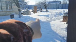 мороз,солнце,шашлычки. 😊