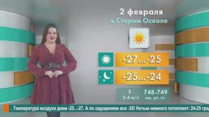 Погода в Старом Осколе на 2 февраля