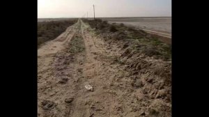 3 декабря 2025 г.