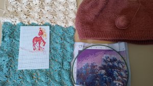 СП " 12 месяцев". Организатор я, Ирина Рогова. 2 сезон. Отчет за Январь.