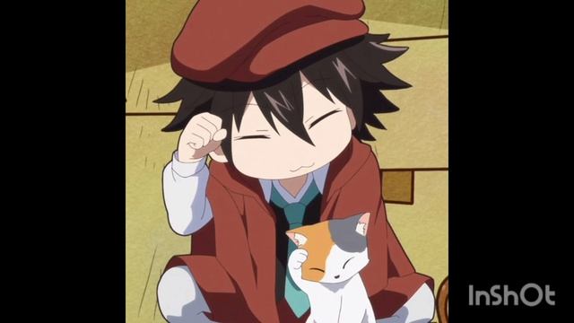 InShot_20260201_204454904