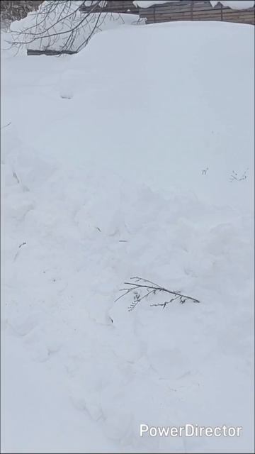 🪖⚪🔵🔴 Из Гжели на фронт, доски для строительства блиндажей. 🪖⚪🔵🔴 Из Гжели на фронт, доски для строительства блиндажей.