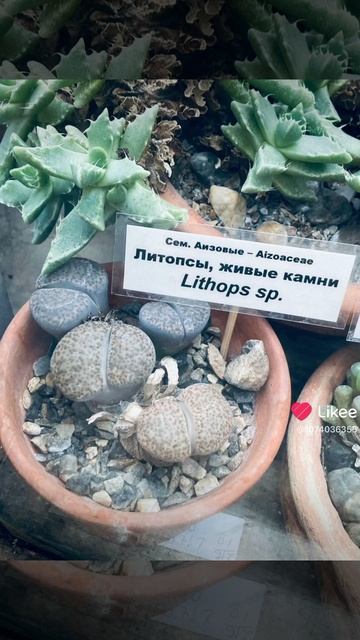 Встретимся там