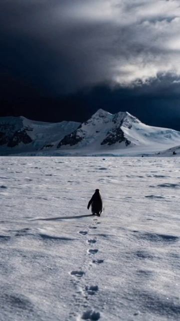 Думала, что нашла ключевого партнера, тем временем партнер… Думала, что нашла ключевого партнера, тем временем партнер…