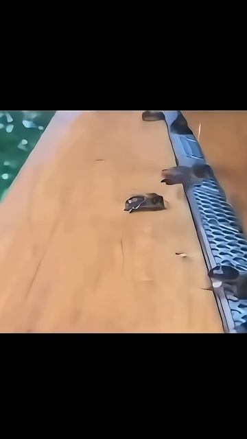 Сотовая авиация